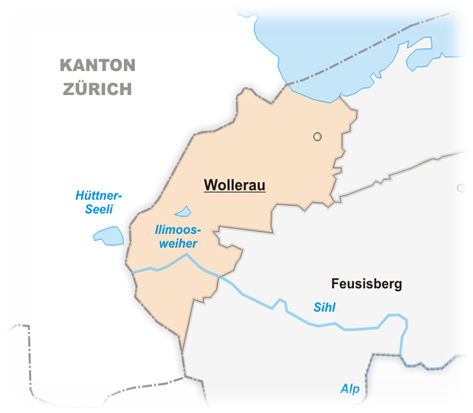 Wollerau Umzug